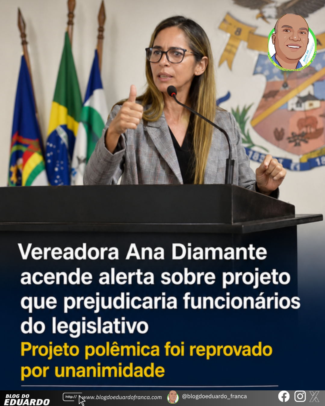 Vereador Ana Diamante