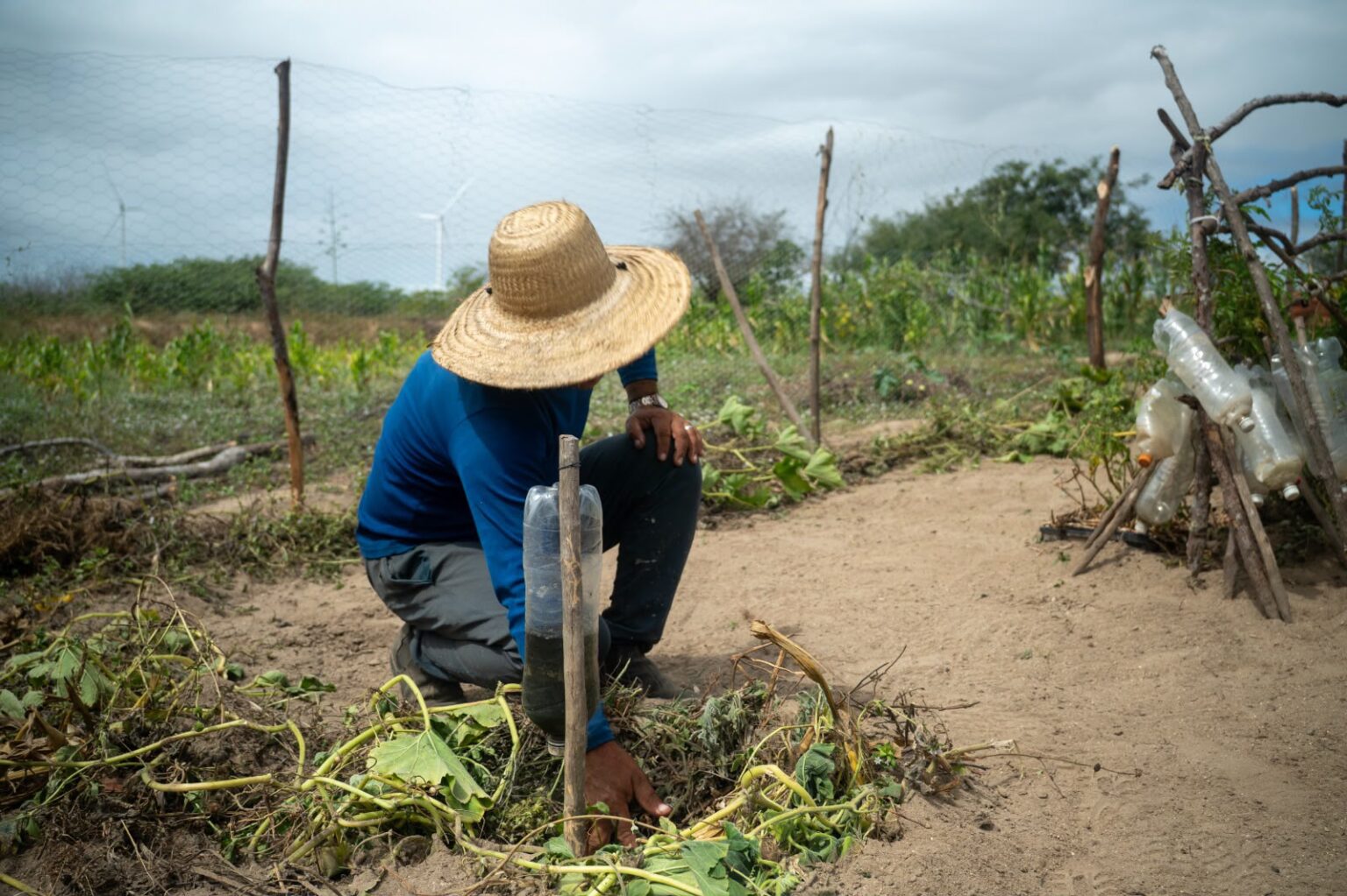 CTG Brasil se prepara para novo ciclo de crescimento sustentável